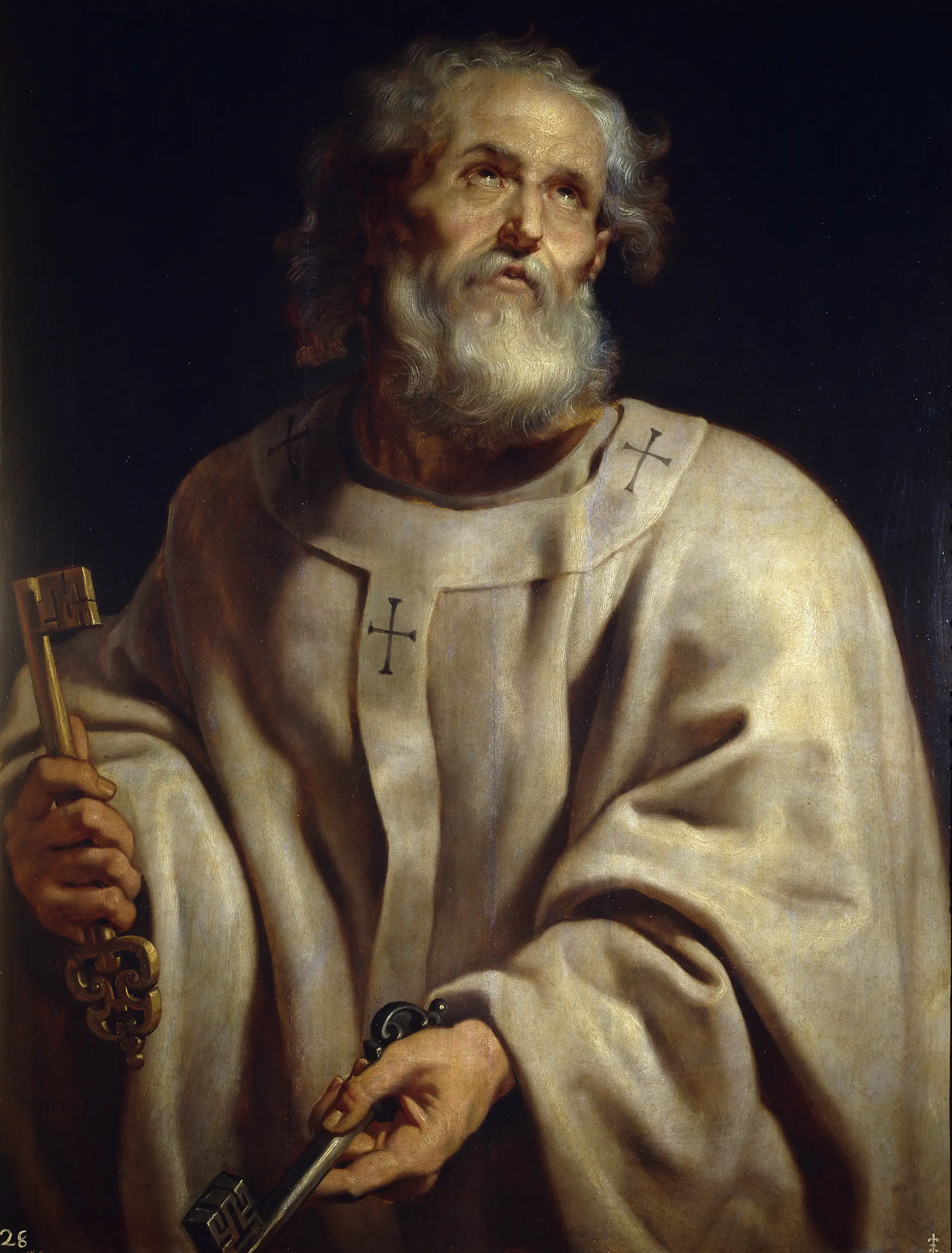 Rosto de Pedro